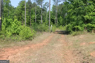 000 Hwy 87 Tract 3, Forsyth, GA 31029 - Photo 6