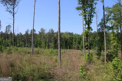 000 Hwy 87 Tract 3, Forsyth, GA 31029 - Photo 8