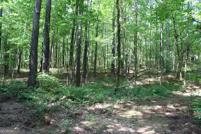 000 Hwy 87 Tract 3, Forsyth, GA 31029 - Photo 2
