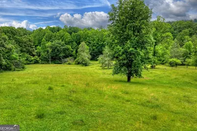 20.11 Ac Mountain View Road, McCaysville, GA 30555 - Photo 6