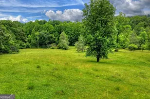 20 11 Ac Mountain View Rd, McCaysville, GA 30555 - Photo 6