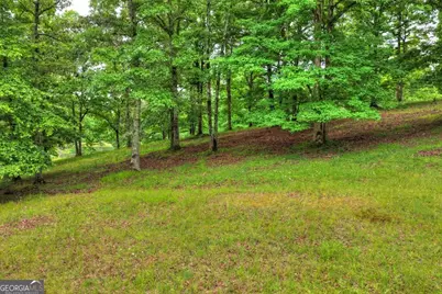 20.11 Ac Mountain View Road, McCaysville, GA 30555 - Photo 36