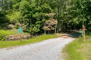 241 Walnut Mountain Rd, Ellijay, GA 30536 - Photo 54