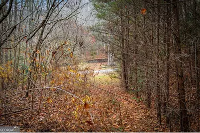 208 Bullen Gap Road, Blue Ridge, GA 30513 - Photo 48