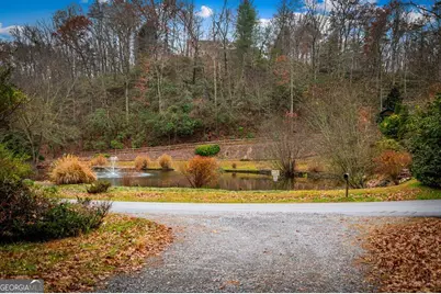 208 Bullen Gap Road, Blue Ridge, GA 30513 - Photo 38