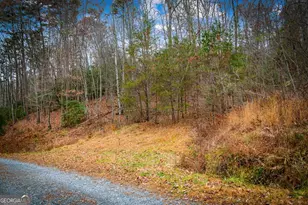 208 Bullen Gap Rd, Blue Ridge, GA 30513 - Photo 40
