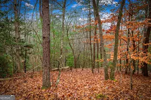 208 Bullen Gap Rd, Blue Ridge, GA 30513 - Photo 54