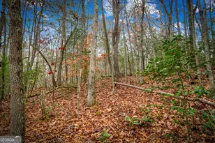208 Bullen Gap Rd, Blue Ridge, GA 30513 - Photo 52