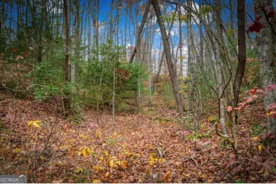 208 Bullen Gap Road, Blue Ridge, GA 30513 - Photo 50