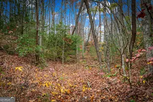 208 Bullen Gap Rd, Blue Ridge, GA 30513 - Photo 50