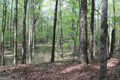 00 Ruffner Road, Barnesville, GA 30204 - Photo 28