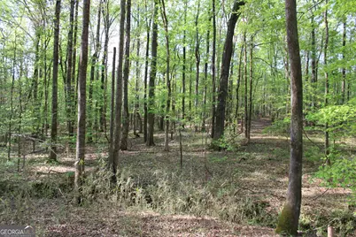 00 Ruffner Road, Barnesville, GA 30204 - Photo 30
