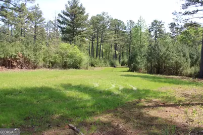 00 Ruffner Road, Barnesville, GA 30204 - Photo 34