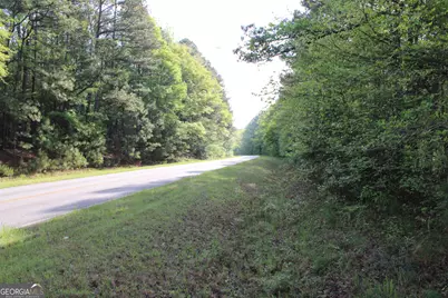 00 Ruffner Road, Barnesville, GA 30204 - Photo 48