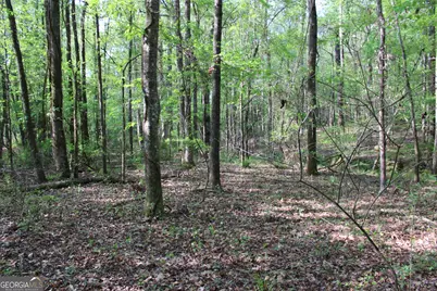 00 Ruffner Road, Barnesville, GA 30204 - Photo 10