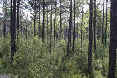 00 Ruffner Road, Barnesville, GA 30204 - Photo 22