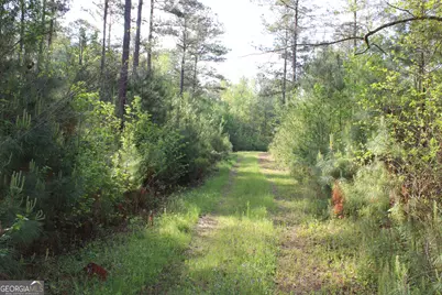 00 Ruffner Road, Barnesville, GA 30204 - Photo 12