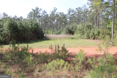 00 Ruffner Road, Barnesville, GA 30204 - Photo 36