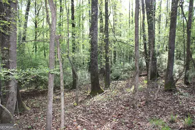 00 Ruffner Road, Barnesville, GA 30204 - Photo 8