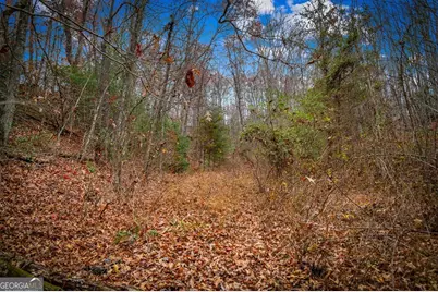 5.97 Ac Bullen Gap Road, Blue Ridge, GA 30513 - Photo 6