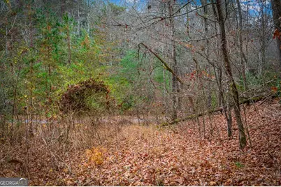 5.97 Ac Bullen Gap Road, Blue Ridge, GA 30513 - Photo 4