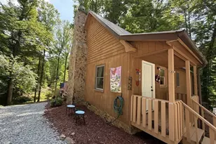 238 Trails End Rd, Blue Ridge, GA 30513 - Photo 26