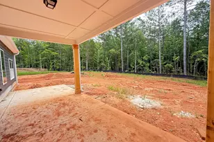 163 Piney Woods Dr, Newnan, GA 30263 - Photo 26