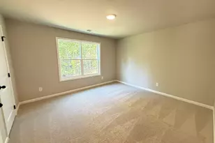 163 Piney Woods Dr, Newnan, GA 30263 - Photo 24