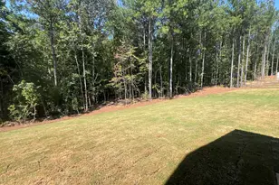 61 Root Dr, Newnan, GA 30263 - Photo 32
