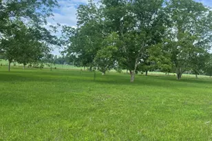 21 Billy Alexander Rd, Collins, GA 30421 - Photo 18