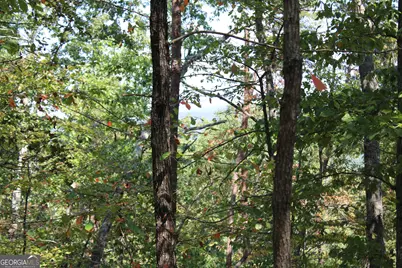 00 Conniston Road, Chatsworth, GA 30705 - Photo 1