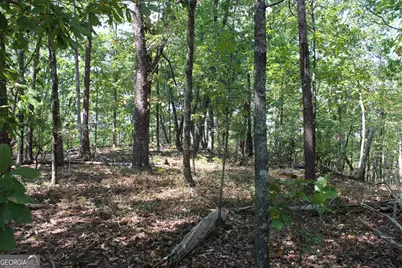 00 Conniston Road, Chatsworth, GA 30705 - Photo 2