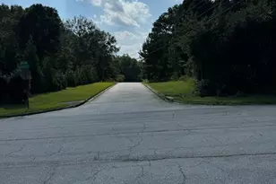 0 Cape Charles Ave, Hampton, GA 30028 - Photo 1