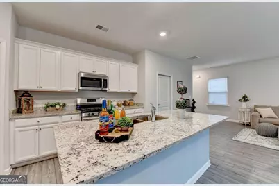 111 Horned Owl Avenue, Braselton, GA 30517 - Photo 18
