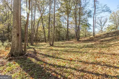 1701 Blue Springs Road, Buckhead, GA 30625 - Photo 8