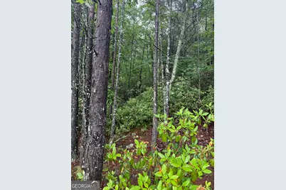 0 441 Expressway, Tallulah Falls, GA 30573 - Photo 4