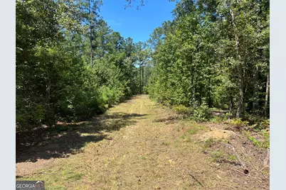 39.87 Acres Irby Road, Gibson, GA 30810 - Photo 56
