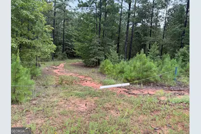 39.87 Acres Irby Road, Gibson, GA 30810 - Photo 20