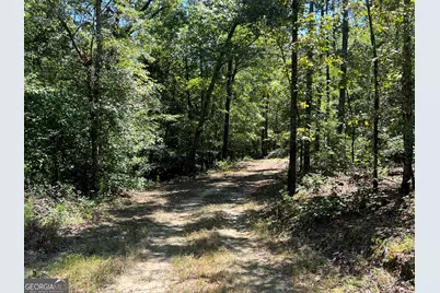 39.87 Acres Irby Road, Gibson, GA 30810 - Photo 16