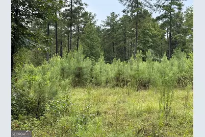 39.87 Acres Irby Road, Gibson, GA 30810 - Photo 26