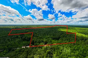 39 87 Acres Irby Rd, Gibson, GA 30810 - Photo 1