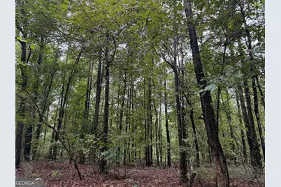 39.87 Acres Irby Road, Gibson, GA 30810 - Photo 24