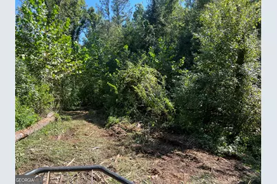 39.87 Acres Irby Road, Gibson, GA 30810 - Photo 54