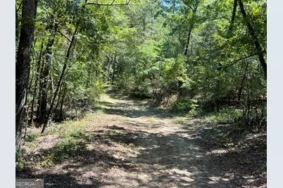 39.87 Acres Irby Road, Gibson, GA 30810 - Photo 14