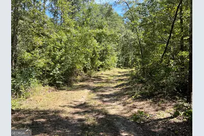 39.87 Acres Irby Road, Gibson, GA 30810 - Photo 12