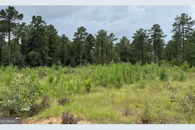 39.87 Acres Irby Road, Gibson, GA 30810 - Photo 32
