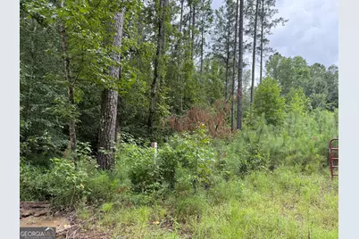 39.87 Acres Irby Road, Gibson, GA 30810 - Photo 44