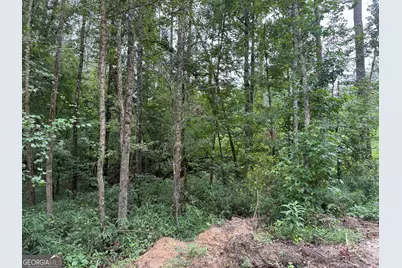 39.87 Acres Irby Road, Gibson, GA 30810 - Photo 46