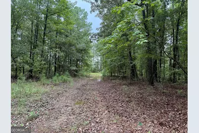 39.87 Acres Irby Road, Gibson, GA 30810 - Photo 22