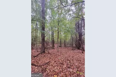 14 Acres Lamars Mill Road, Flovilla, GA 30216 - Photo 2